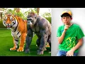 Download Lagu 🐾 Cerita Hewan untuk Anak | Belajar Nama Hewan \u0026 Petualangan Seru bersama Jason 🦁🐘
