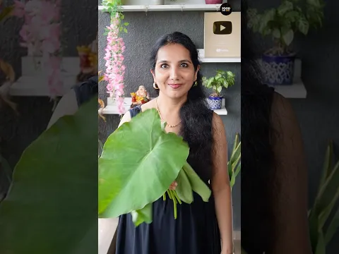 Healthy Aalu Vadi Recipe