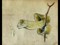 Kung Fu Panda (Oogway ascend Slow)