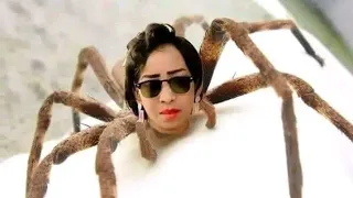 نون العنكبوته شيخ الطريقه ايمن الربع سواقه جد اغاني سودانية زنق سوداني 