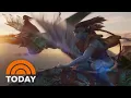 Avatar The Way Of Water Rakes In 1 17 Billion