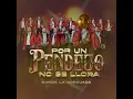 Por un pendejo no se llora