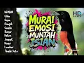 Download Lagu PANCING MURAI EMOSI NEMBAK ISIAN | MASTERAN PENYUSUN LAGU!!