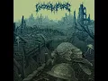 Download Lagu Victim of Fire - The Old Lie (Full Album) 2025