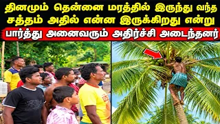 தினமும் தென்னை மரத்தில் கேட்ட அழுகுரல் சத்தம் அதில் என்ன உள்ளது என பார்த்து அதிர்ந்தனர்/panchume