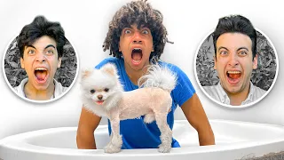 الحسن و الحسين حلقو شعر الكلب بتاعى زيرو وربنا مهحلكو 