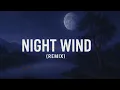 Download Lagu Night Wind (Remix)