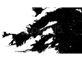 Paper Absorbs Ink Paint Macro Stock Footage