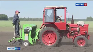 «Вести Омск», утренний эфир от 22 июня 2022 года