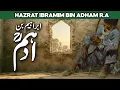 Story of Hazrat ibrahim bin adham | Hazrat Ibrahim Bin Adham | Wali Allah ka Waqia | Al Habib