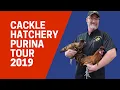 Purina visits Cackle Hatchery spring of 2019