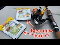 Is the Berkley Powerbait Minnow BETTER than BERKLEY GULP