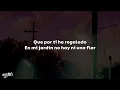 Aventura - Dile Al Amor | Letra ❤️‍🩹