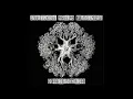 Download Lagu Black Sky Giant - Orbiter (Full Album 2020)