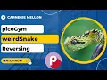 picoGym picoCTF Exercise weirdSnake