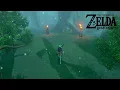 BREATH OF THE WILD LIVE STRANGE MASK RUMOURS - TWILIGHT RELIC SWITCH