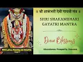 Download Lagu Shakambhari Gayatri Mantra | श्री शाकंभरी देवी गायत्री मंत्र | Powerful Mantra for Blessings