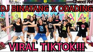 Download DJ BINATANG X ODADING (DJ IMUT REMIX) VIRAL TIKTOK, ZUMBA C.A STUDIO MP3