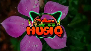 busy signal free up losckom remix 2022