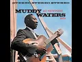 Baby, Please Don't Go (Live At Newport Jazz Festival/1960)