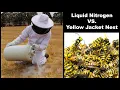 Liquid Nitrogen Is Incredible At Destroying Dangerous Yellow Jacket Hornet Nests Mousetrap Monday