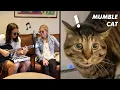 Download Lagu The Kiffness x Mumble Cat (Crazy Rap Parody) ft. My Awesome Wife