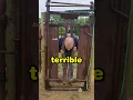 Download Lagu Hij had er meteen spijt van 😂