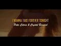 Download Lagu I Wanna Take Forever Tonight - Peter Cetera and Crystal Bernard