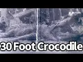 30 Foot Crocodile Seen in World War 2