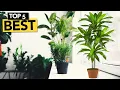 TOP 5 Best Artificial Plants Buyer s Guide