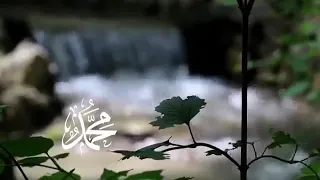 اغنية خلق محمد دندنها