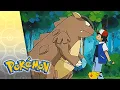 Download Lagu An Egg-Sighting Adventure | POKÉMON FULL EPISODE 20 | Season 5
