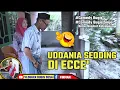 LAOA CELLENGI i ECCE' NAFAKASIRI'KA BEPPANA😂 Comedy Bugis Sinjai