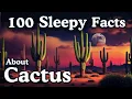 The Most Relaxing Facts About Cactus to Fall Asleep To No Adverts