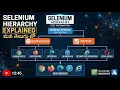 Selenium Hierarchy expained