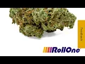 trulieve roll one green wildfire 28 4 terps