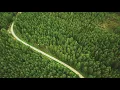 Rest – Peaceful Piano & Ambient Instrumental | Simon Wester