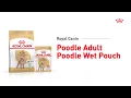 Royal Canin Poodle Adult Poodle Wet Pouch