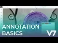 Annotation Basics OLD - V7 Darwin AI Academy