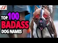 TOP 100 Badass Dog Names For Male