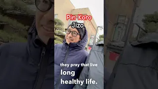 Visiting Pin Koro Jizo in Saku: A Shrine for Health and Longevity #writerslife #japan
