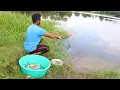 Download Lagu Fishing Video || The fisherman boy caught a lot of fish in the largest pond in the village