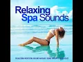 Zen Garden - Wellness