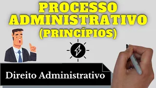 Princípios do Processo Administrativo (Direito Administrativo): Resumo Completo