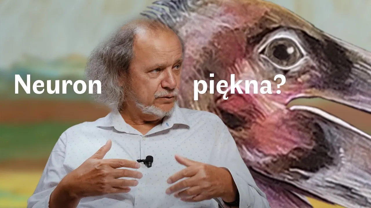 No to pięknie #1 | Neurony piękna? Włodzisław Duch
