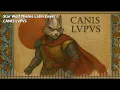 CANIS LVPVS Star Wolf Theme Latin Cover Star Fox 64 Cover en Latin