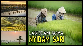Download Musik Jawa NYIDAM SARI Langgam Jawa || Background Footage Video Backsound FREE USE || MP3
