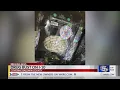 I-10 traffic stop leads to drug bust in Baldwin County