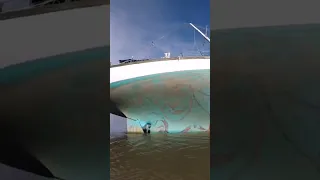 High and dry #careened