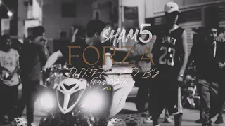 شامخ   فورزا                                دندنها